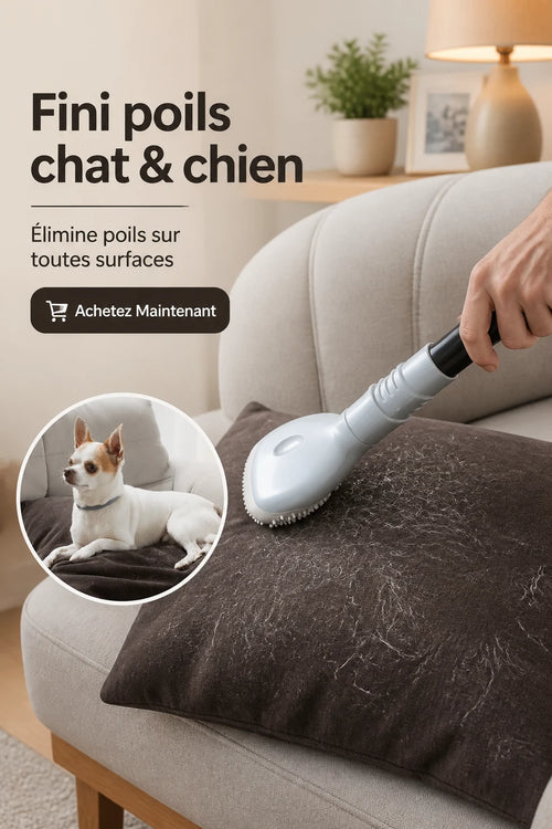 Brosse Aspirateur Anti-Poils Chat & Chien — Accessoire Ménage Animaux
