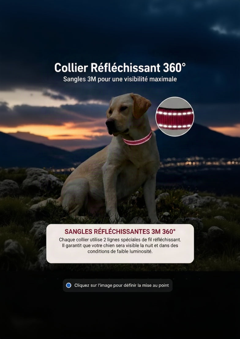 Collier Réfléchissant pour Chien — Nylon Ajustable & Sécurisé