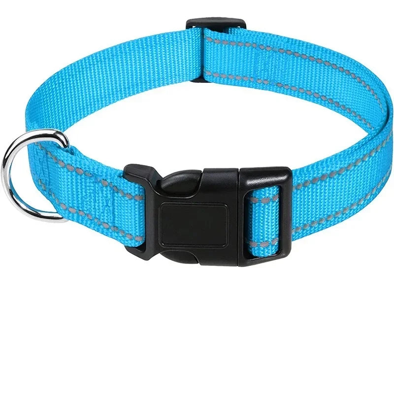 Gros plan sur la bande réfléchissante du collier pour chien