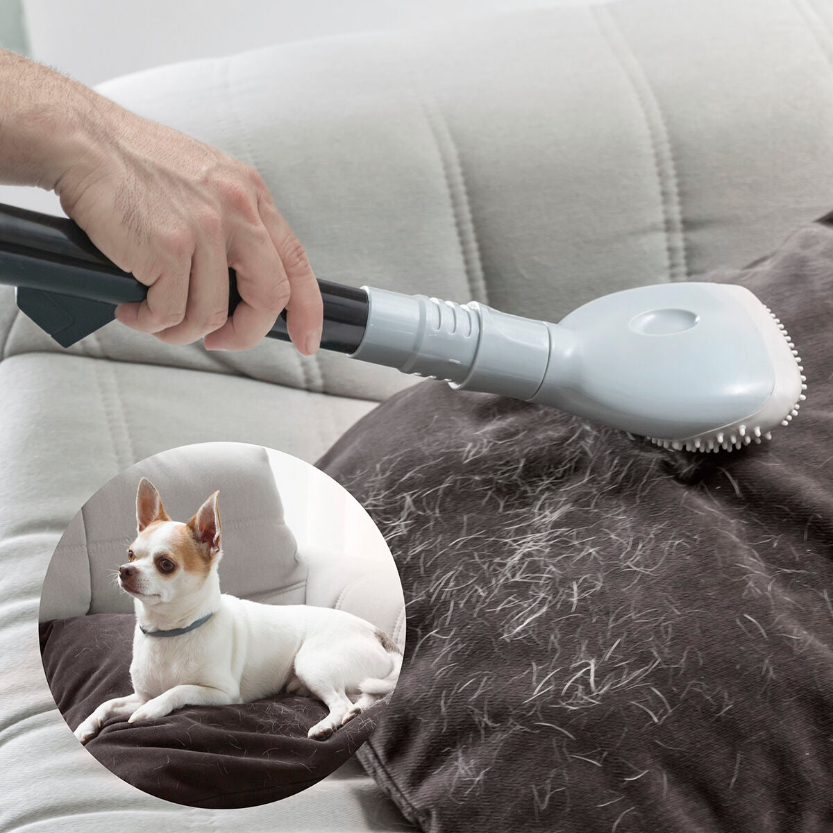Brosse aspirateur anti-poils, vue de profil
