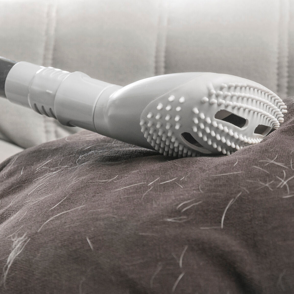Brosse aspirateur anti-poils, vue packshot alternative