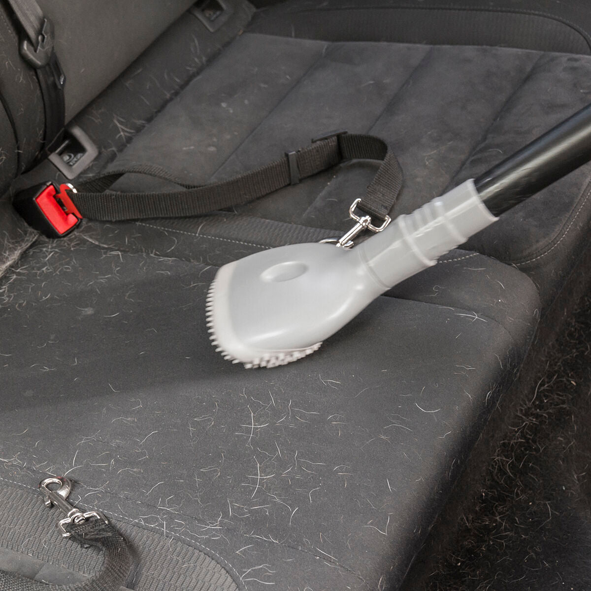 Brosse aspirateur anti-poils, vue de dessus